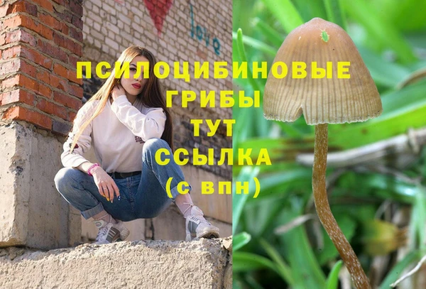 синтетический гашиш Алексеевка