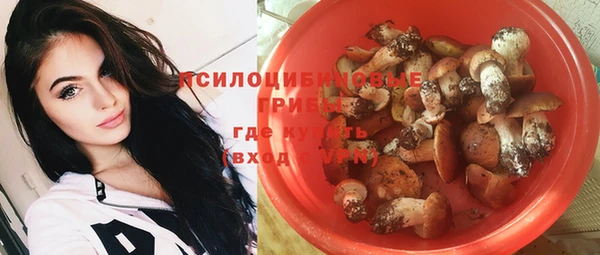 spice Абинск