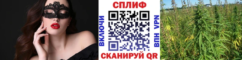 Бошки Шишки тримм  даркнет сайт  Дубна 